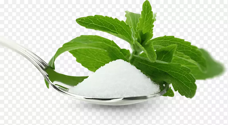 甜菊糖保健甜菊醇糖苷糖替代品-健康