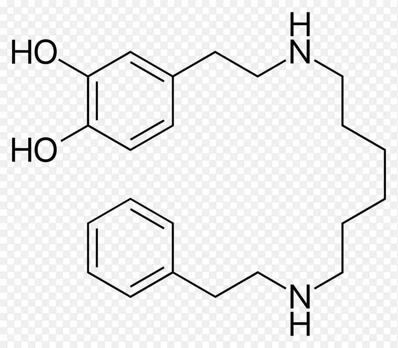 左旋多巴芳香族l-氨基酸脱羧酶去甲肾上腺素苯丙氨酸多巴胺