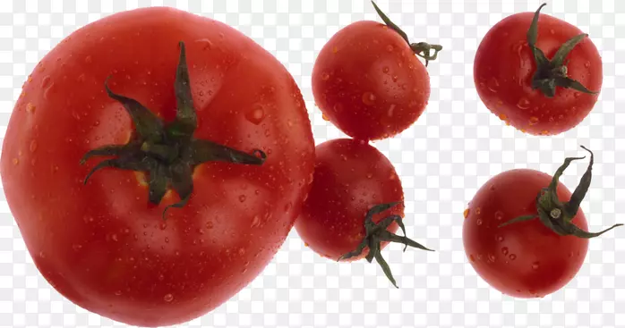 李子番茄灌木丛番茄汤食品-番茄