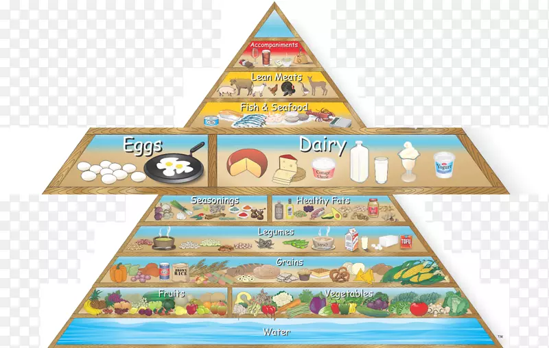食品金字塔健康食品营养-健康