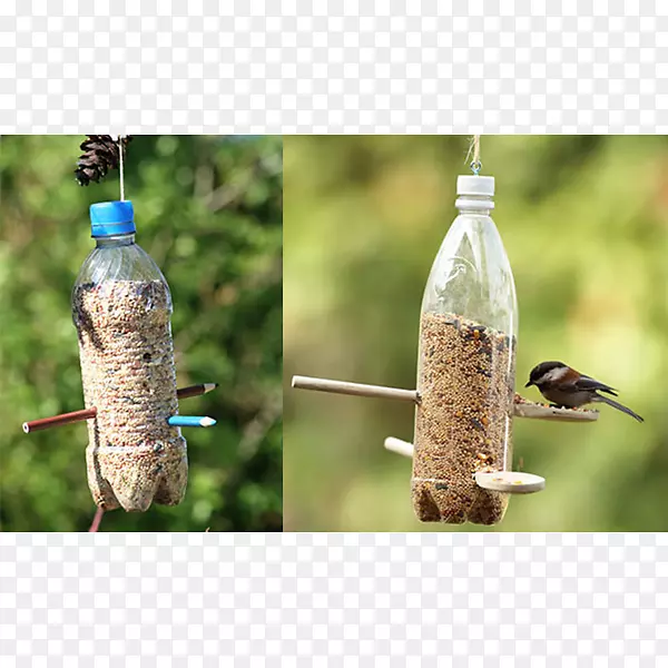 喂鸟器塑料瓶鸟喂食瓶回收-鸟