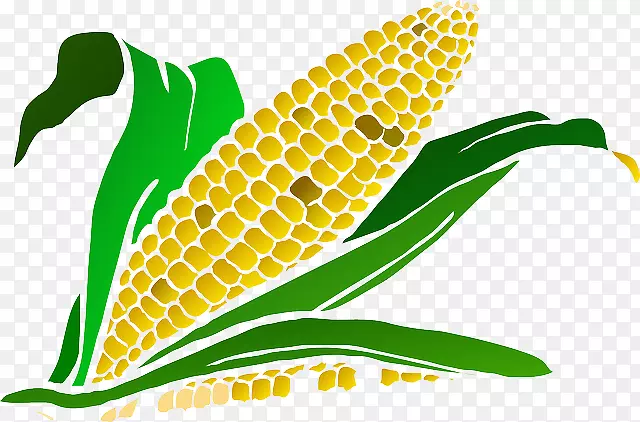 玉米画片艺术