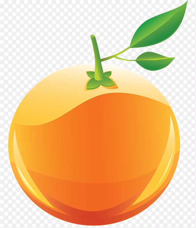 橙色水果剪贴画-橙色