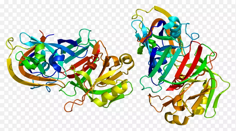 组织蛋白酶g蛋白