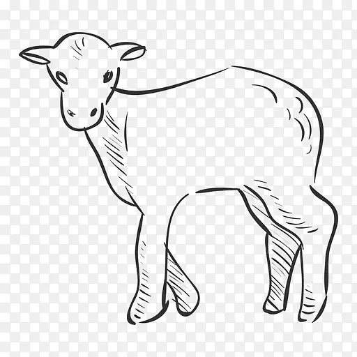 山羊剪贴画-绵羊