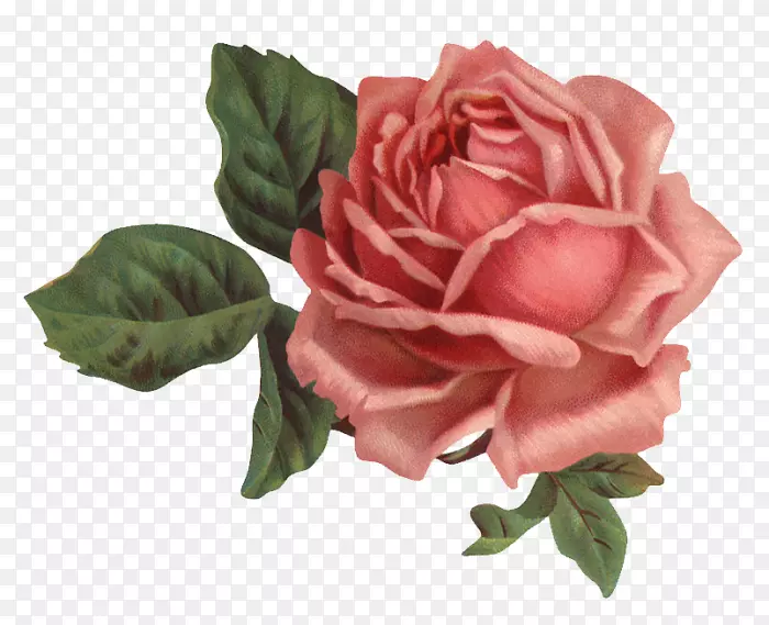 纸玫瑰粉红色的花-玫瑰