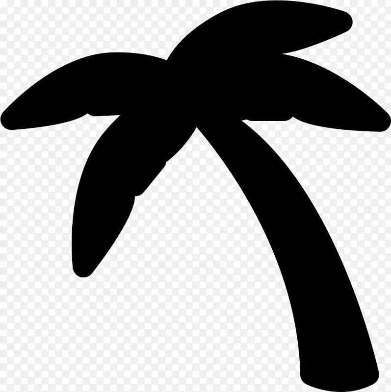 槟榔科椰子电脑图标树-椰子