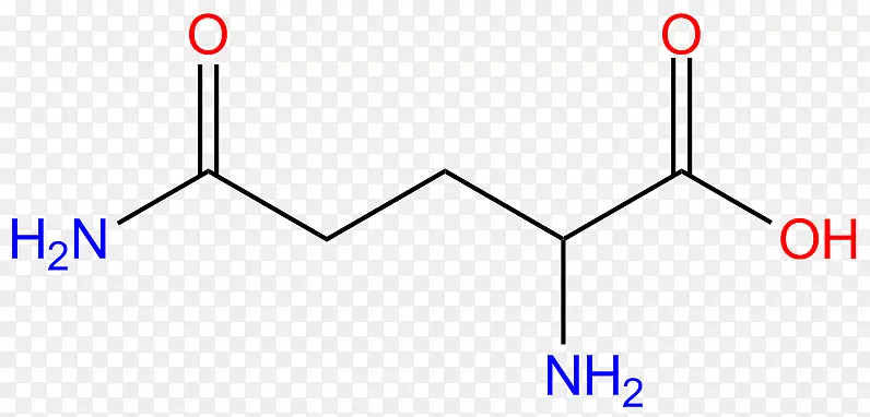 谷氨酸、氨基酸、谷氨酸、精氨酸、谷氨酰胺