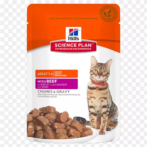 猫食狗山宠物营养科学饮食-猫
