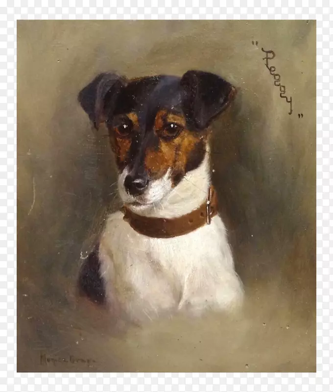 杰克罗素小猎犬，小型狐狸猎犬，巴西猎犬，Tenterfield猎犬，老鼠猎犬-绘画