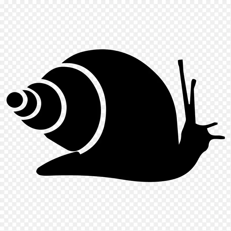 蜗牛电脑图标腹足夹艺术-蜗牛