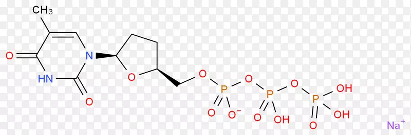 膳食补充剂β-羟基β-甲基丁酸肌力训练健美