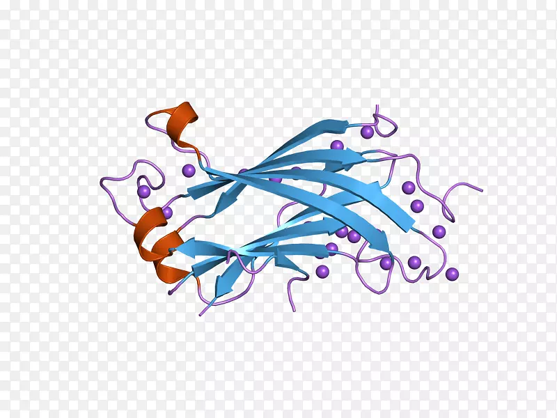 USP 7泛素p5 3 rela蛋白酶