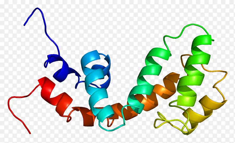 g蛋白信号转导基因gtp酶激活蛋白-调节因子RGS 18