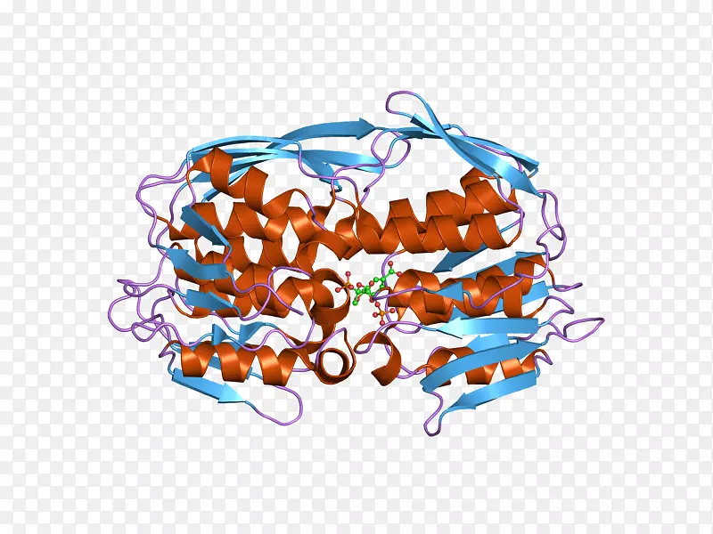 epsp合成酶酪氨酸激酶转移酶-酶