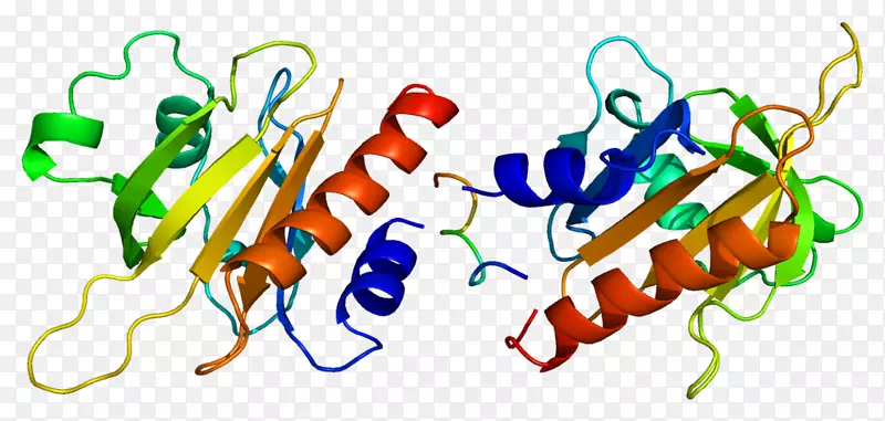 Proclin-1肌动蛋白结构-结构