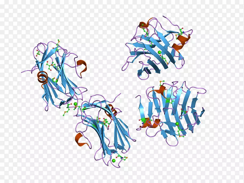 NRXN 1新脲素晶体结构蛋白