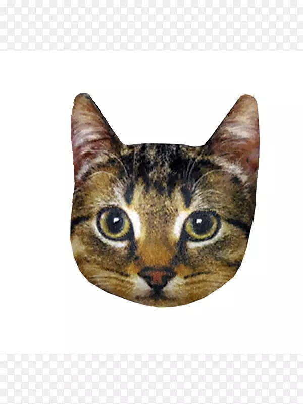 猫家养短毛猫须-猫须