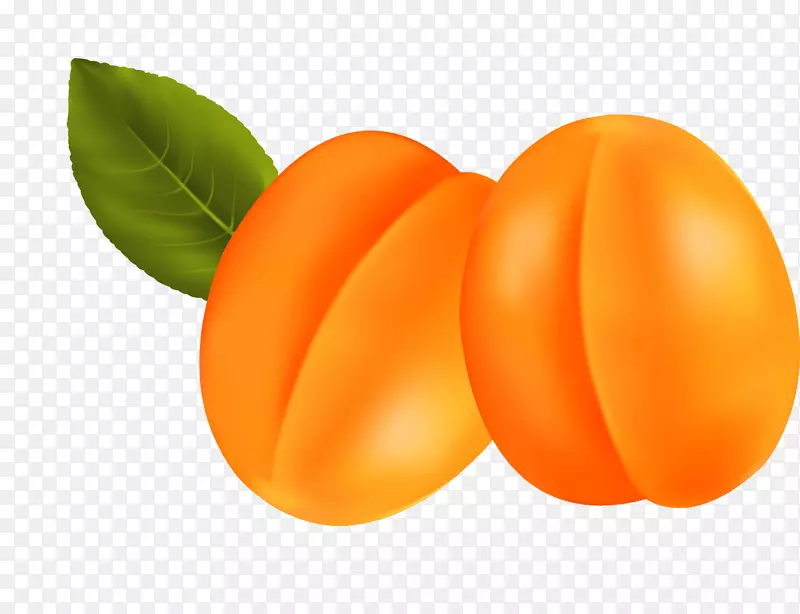 杏素菜剪贴画-杏