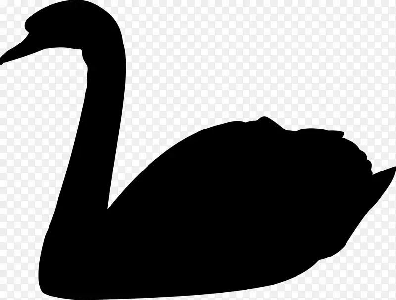 黑天鹅：极不可能的鹅夹艺术对鹅的影响