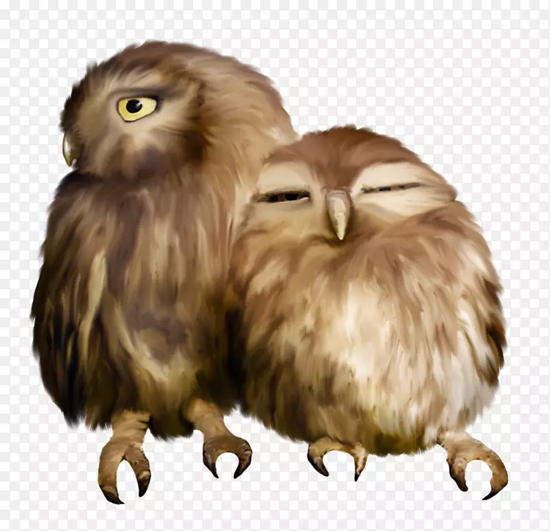 OWL Nuvola sovunya YouTube剪贴画-OWL