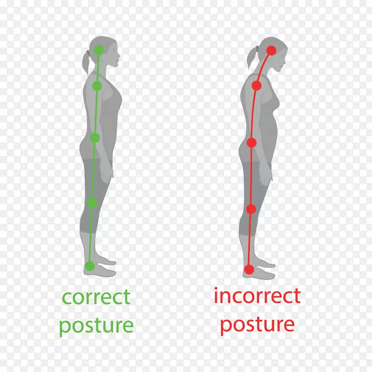 中立脊柱不良姿势站立人体脊柱