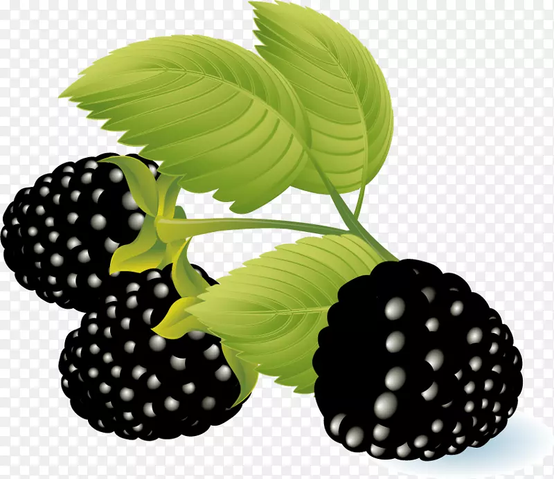 覆盆子黑莓剪贴画-覆盆子