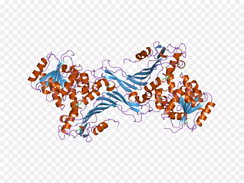 葡萄糖-6-磷酸脱氢酶葡萄糖6-磷酸酶神经氨酸酶-酶