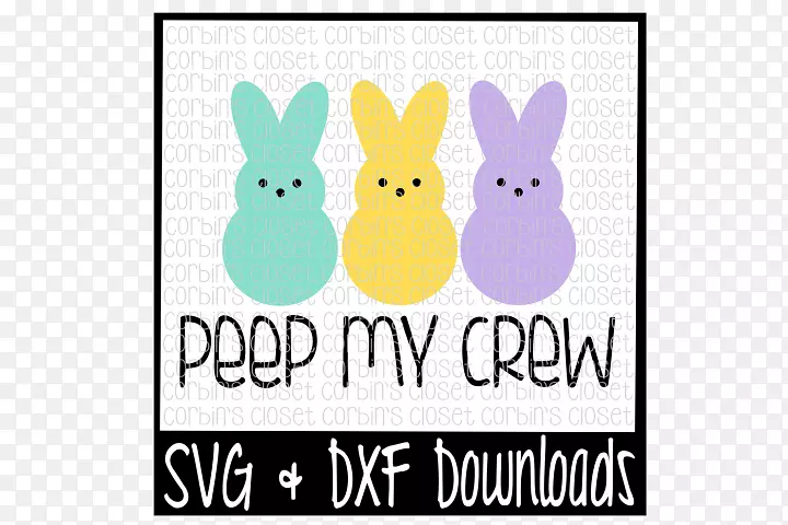 纸AutoCAD DXF