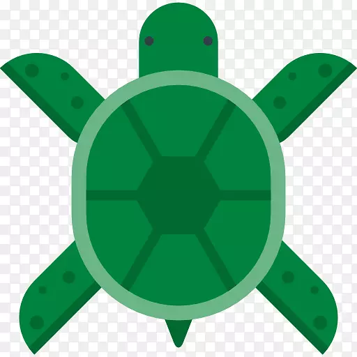 海龟电脑图标-海龟