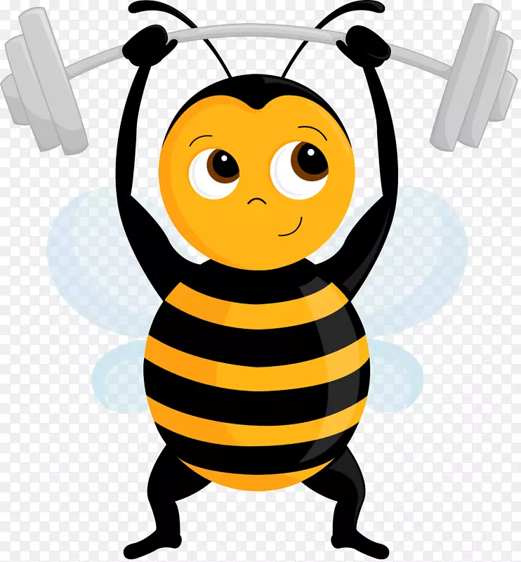 蜜蜂健身中心运动健身-蜜蜂