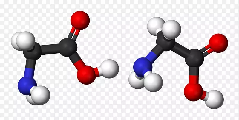 甘氨酸分子缩合反应氨基酸丝素