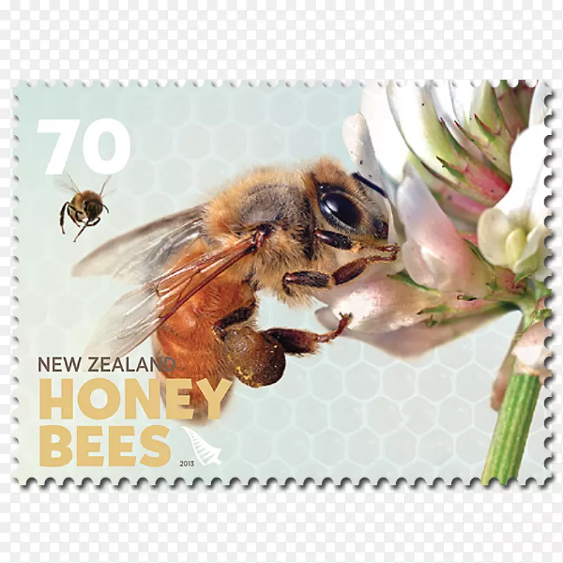 蜜蜂新西兰邮票-蜜蜂