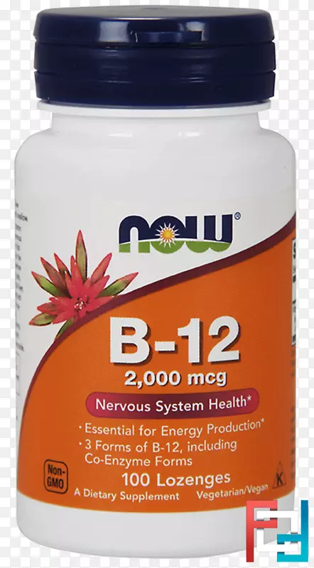 膳食补充剂维生素b-12有机食品b维生素