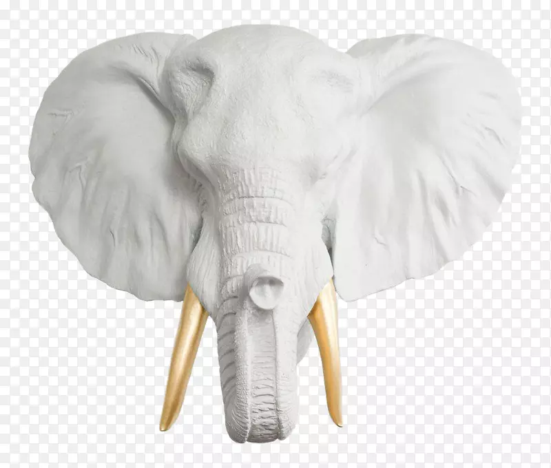 印度象非洲象标本陶瓷象