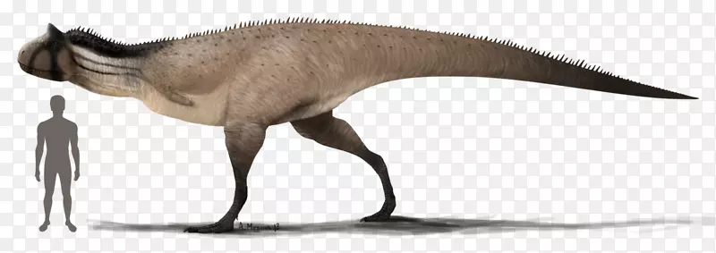食肉牛龙区恐龙-恐龙