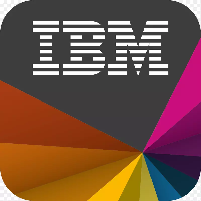 ibm全球服务印度有限公司智能地球计算机软件徽标-ibm