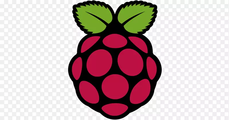 虚拟网络计算raspberry pi Realvnc紧密的计算机软件-计算机