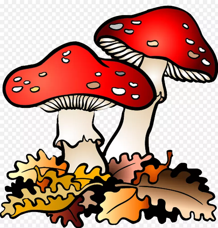 木耳画自然环境蘑菇剪贴画.自然环境