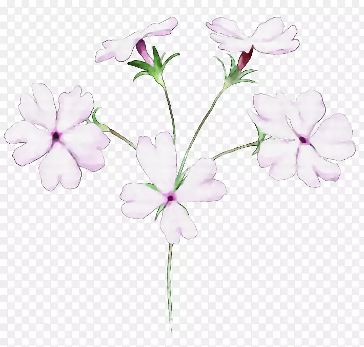 花卉设计插画-花卉