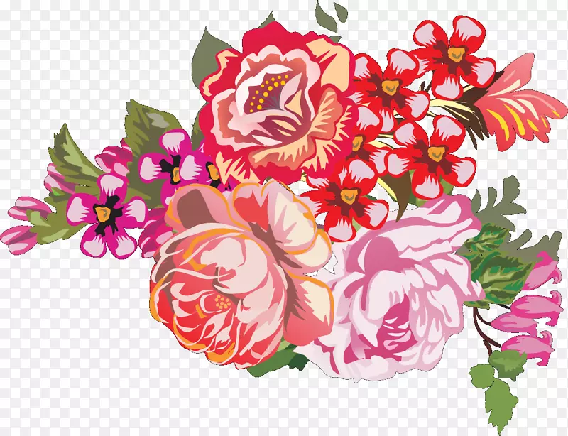 花园玫瑰，花卉设计，卷心菜，玫瑰花