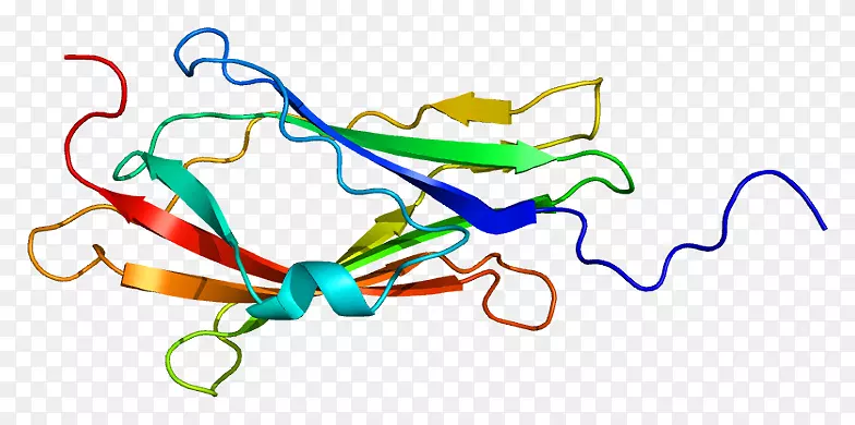 arhgdia rho蛋白gdp解离抑制剂cdc 42基因