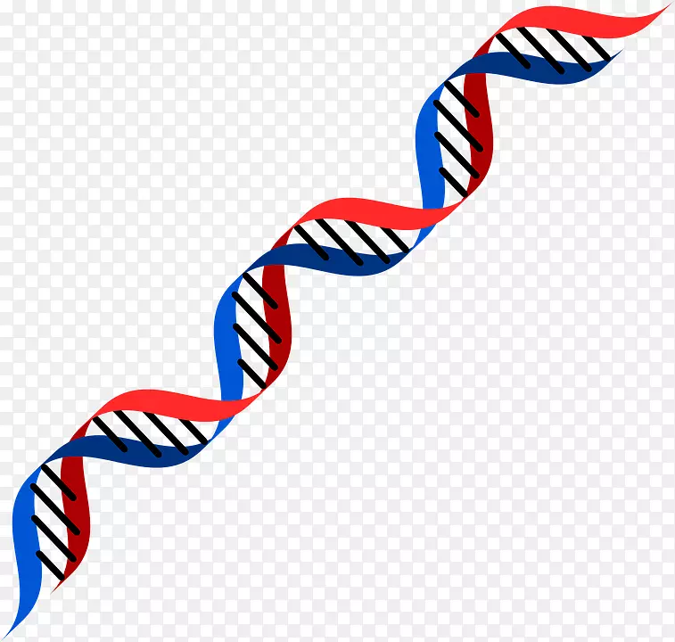 dna遗传学rna基因检测剪辑art dna双螺旋