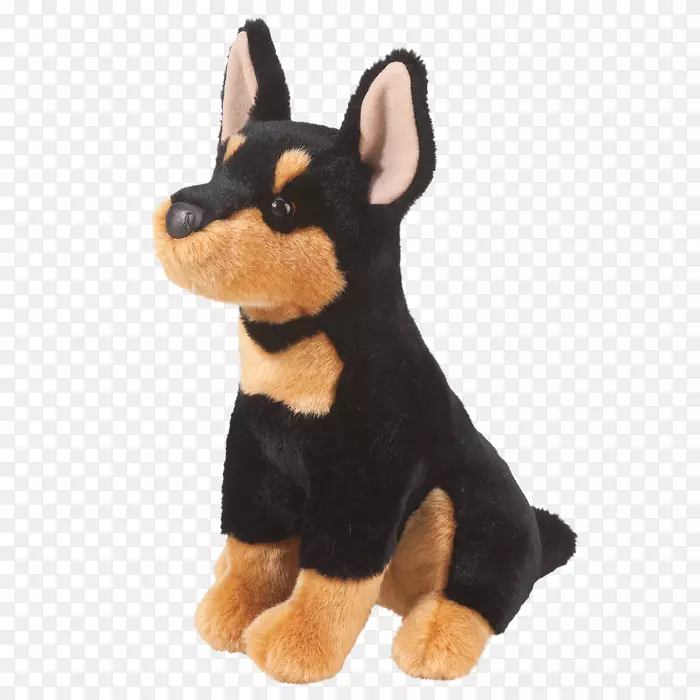 欧姆斯柯克小猎犬，微型小羽犬，鲁斯基玩具，曼彻斯特梗，英国玩具猎犬-小狗