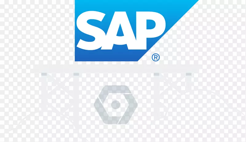 业务对象sap erp sap se商务智能计算机软件-业务