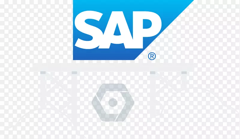 SAP品牌标识PNG图片素材下载_图片编号2328118-PNG素材网