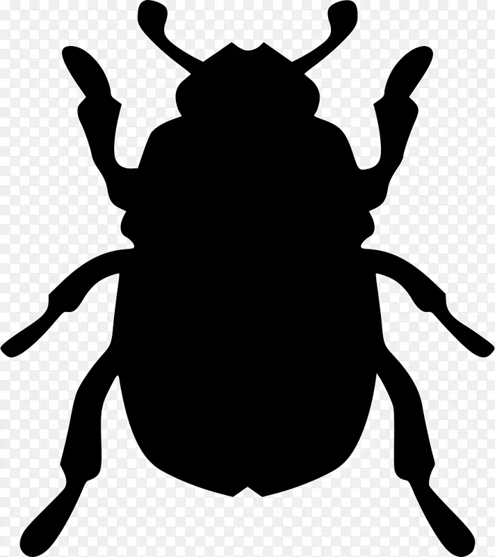 甲虫生物剪贴画甲虫