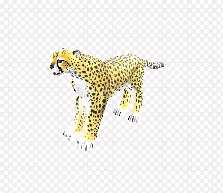 豹美洲豹陆生动物豹
