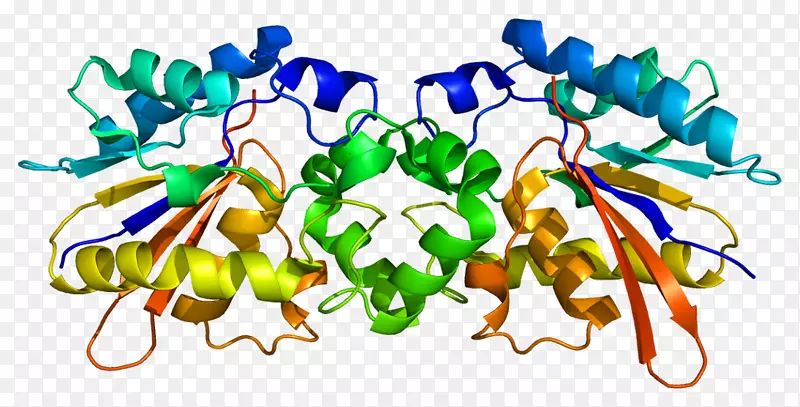 蛋白质生物学科学酶剪贴画