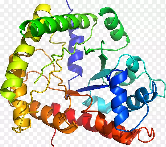 线点生物剪贴画线